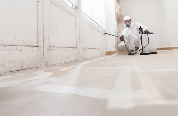 24/7 Emergency Black Mold Remediation experts in Bluemont, VA